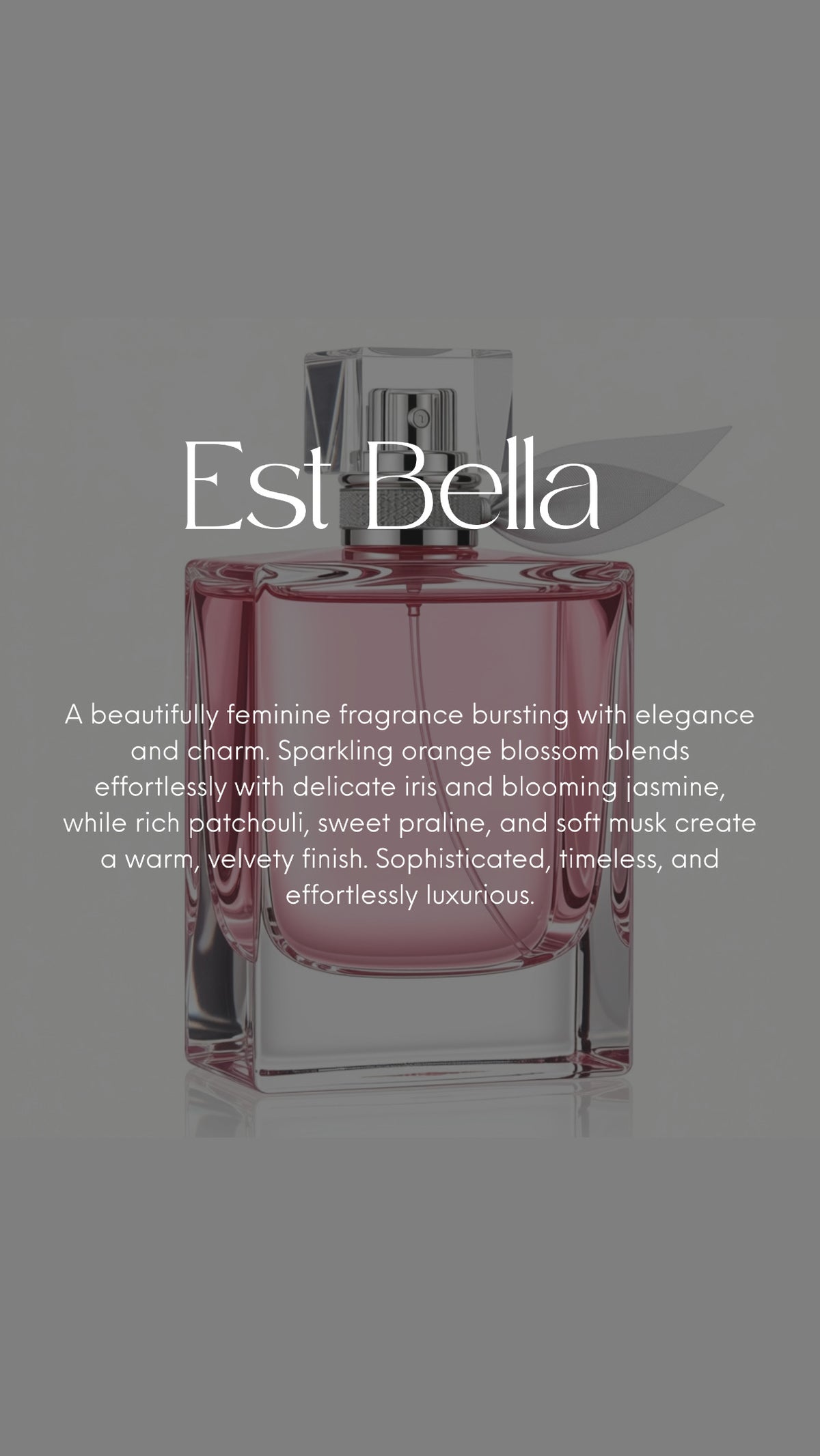 Perfume Scent Fragranced Fizzer